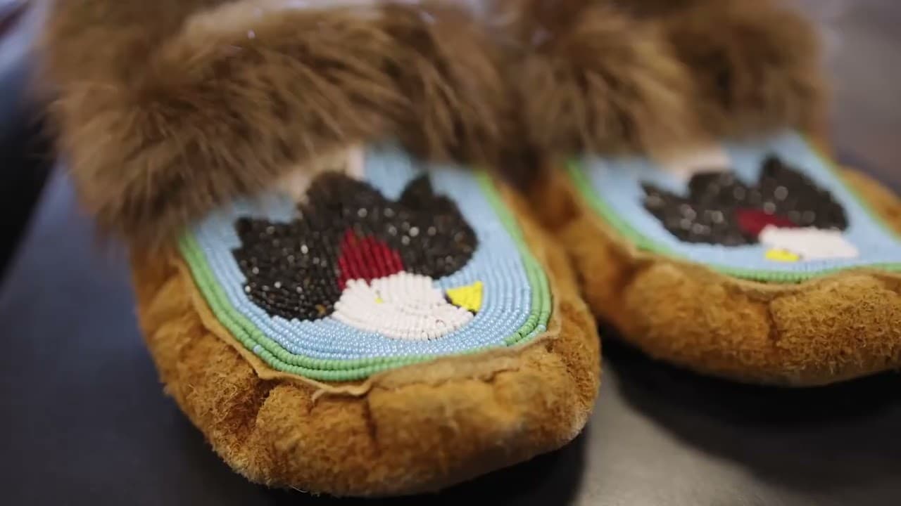 IEG Ahtna Project